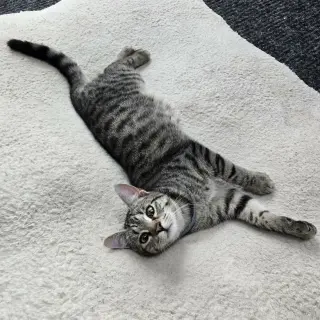 Pablo