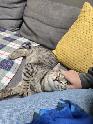 Pablo