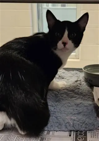 DANNY