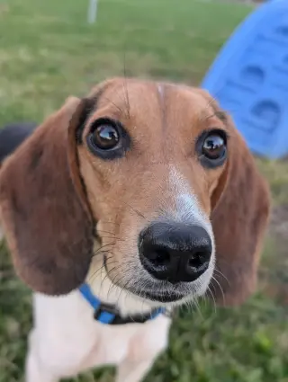 Madison