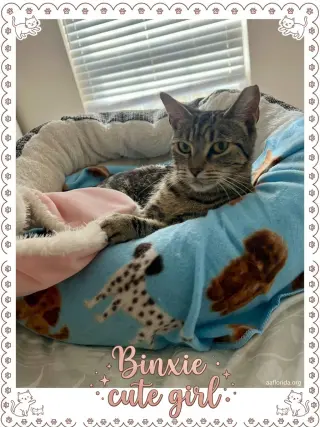 Binxie