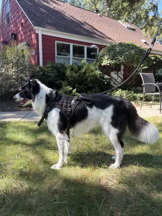 Oliver (a courtesy listing in Glenview IL)