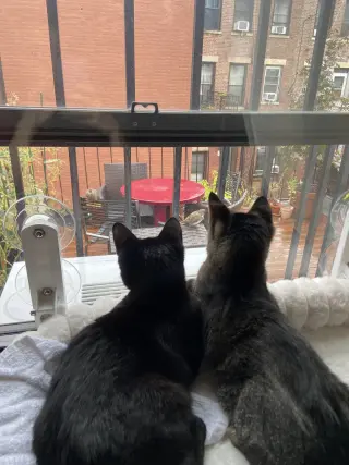 Gladys and Mellie