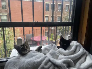 Gladys and Mellie