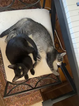 Gladys and Mellie