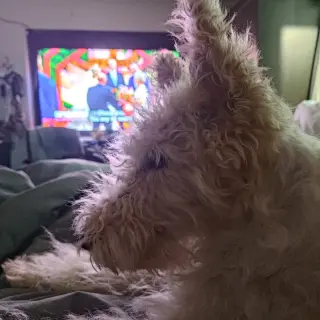 Zoey