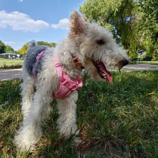 Zoey