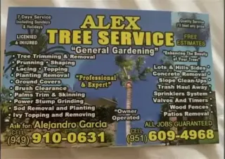 Alex Tree Services