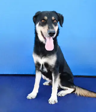 OSO