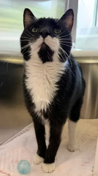 BARRY