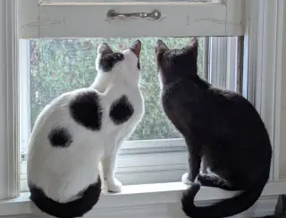 Mother and Son