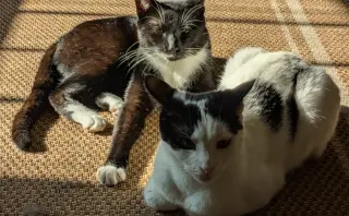 Mother and Son
