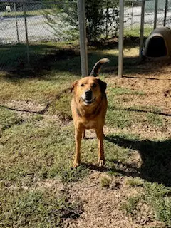 Duke