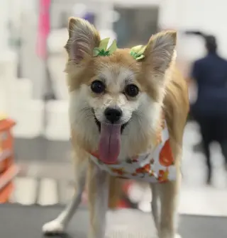 Fiona