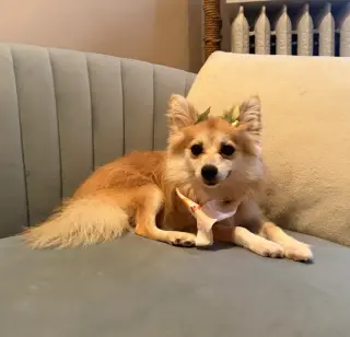 Fiona
