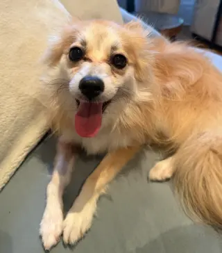 Fiona