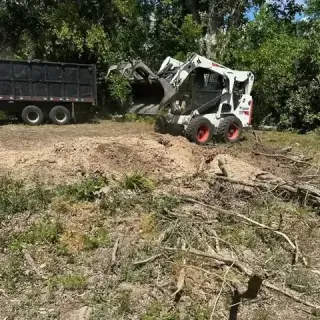 Expert Tree Care