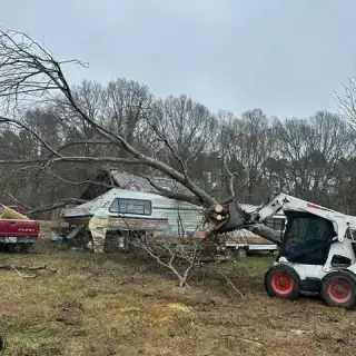 Expert Tree Care