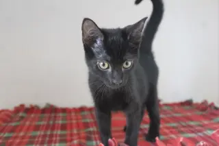Eureeka