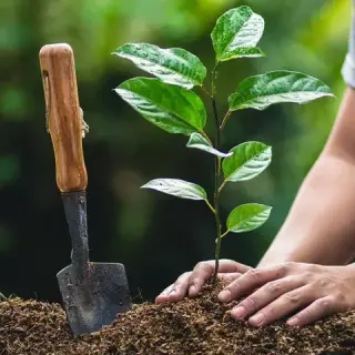 Exceptional  Landscape Service