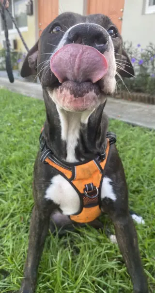 Kilo