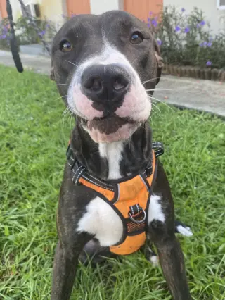 Kilo