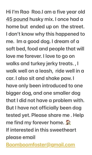 Roo