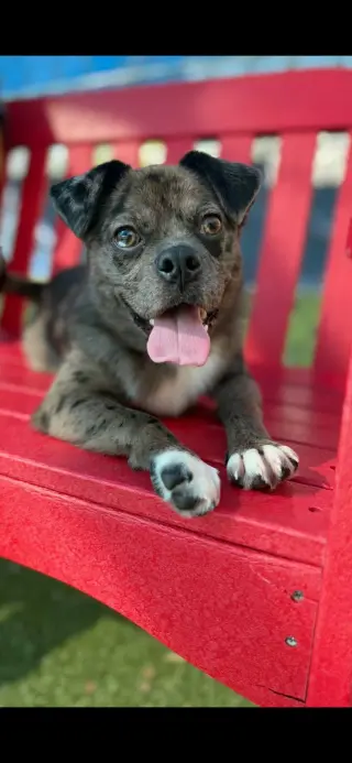 RIZZO