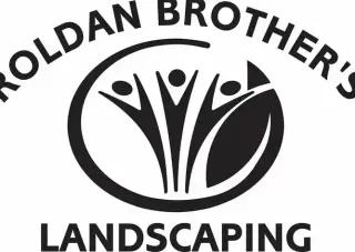 Landscaping and Concrete