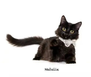 Natalie