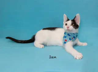 Ian