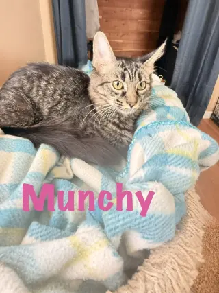 Munchy