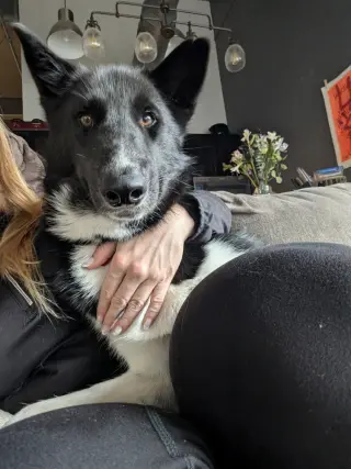 Zeus
