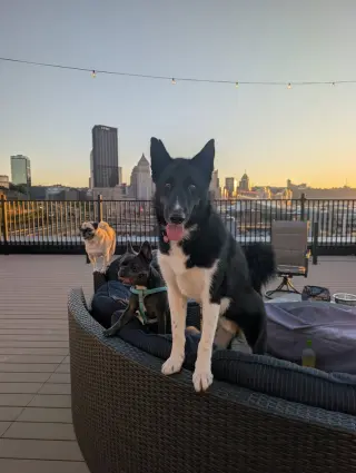 Zeus