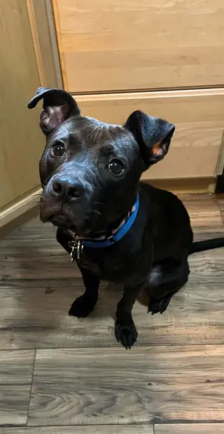 Nacho
