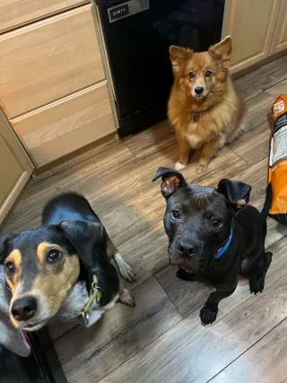 Nacho