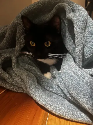 Jack
