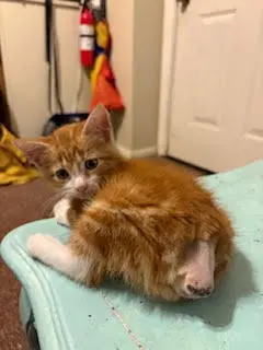 Tony
