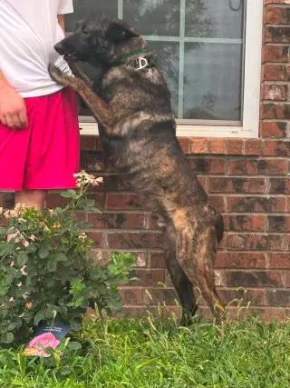 Maximus - Located in NM