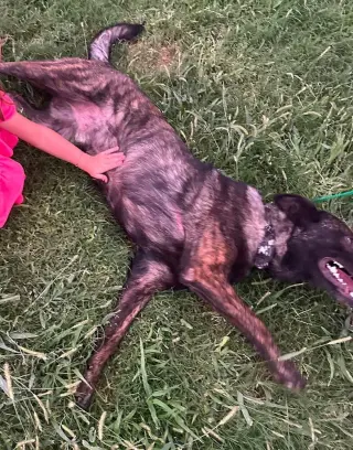 Maximus - Located in NM