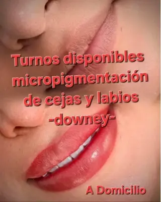 Micropigmentación cejas labios