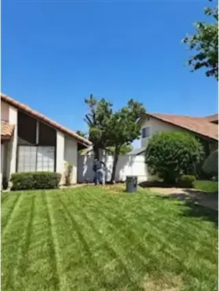 Jardinero Econoómico