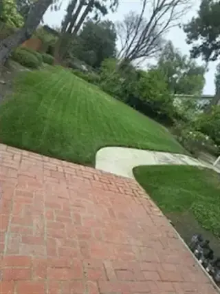 Jardinero Econoómico
