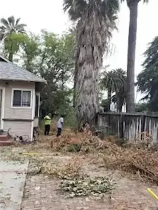 Jardinero Econoómico
