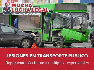 Ayuda en Casos de Lesiones