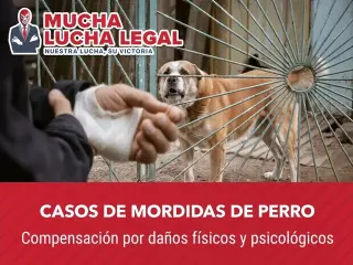 Ayuda en Casos de Lesiones
