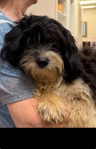 Bob