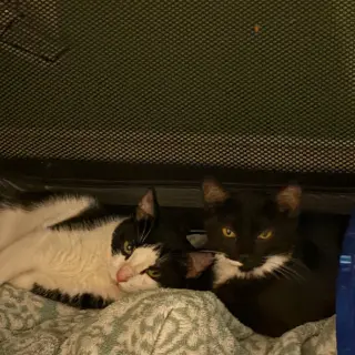 Ancho & Serrano