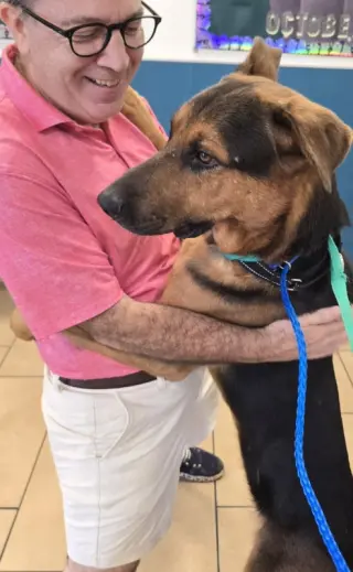 Lorenzo