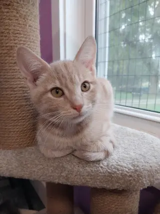 Xanthe * IN FOSTER *